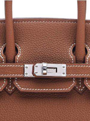 Birkin 25 Togo Leather Tote Bag with Palladium Detailing