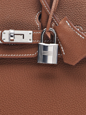 Birkin 25 Togo Leather Tote Bag with Palladium Detailing